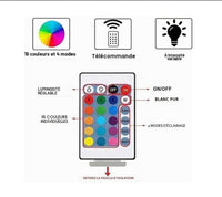 Frenchie Dog Lampe led 3d